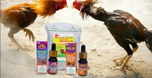 Bổ gan – hồi sức thường dùng trong giai đoạn gà xuống thể lực - thuốc nuôi gà đá