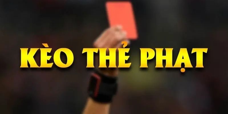 Lưu ý cần quan sát biến động và thời điểm đặt cược