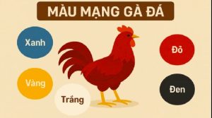 Gà màu vàng đất thuộc hành Thổ – biểu tượng của sự bền bỉ và sức chịu đòn tốt
