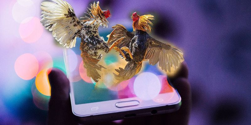 Meron/Wala/BDD realtime